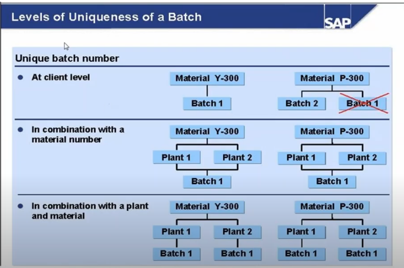 Batch Number and Batch Manufacturing